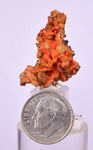2.6cms GEM RED CROCOITE CRYSTALS CLUSTER MATRIX ADELAIDE MINE AUSTRALIA ZB48