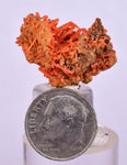 2.5cms GEM RED CROCOITE CRYSTALS CLUSTER MATRIX ADELAIDE MINE AUSTRALIA ZB49