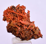 2.8cms GEM RED CROCOITE CRYSTALS CLUSTER MATRIX ADELAIDE MINE AUSTRALIA ZB50