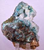 9.6cms DRUZY CHRYSOCOLLA QUARTZ CRYSTAL PERU COPPER LILY MINE DB232