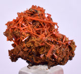 2.8cms GEM RED CROCOITE CRYSTALS CLUSTER MATRIX ADELAIDE MINE AUSTRALIA ZB50