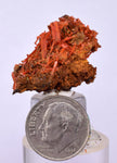 2.8cms GEM RED CROCOITE CRYSTALS CLUSTER MATRIX ADELAIDE MINE AUSTRALIA ZB50