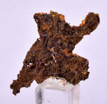 4.2cms GEM RED CROCOITE CRYSTALS CLUSTER MATRIX ADELAIDE MINE AUSTRALIA ZB51