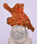 4.2cms GEM RED CROCOITE CRYSTALS CLUSTER MATRIX ADELAIDE MINE AUSTRALIA ZB51
