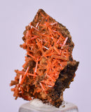 2.6cms GEM RED CROCOITE CRYSTALS CLUSTER MATRIX ADELAIDE MINE AUSTRALIA ZB52
