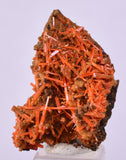 2.6cms GEM RED CROCOITE CRYSTALS CLUSTER MATRIX ADELAIDE MINE AUSTRALIA ZB52