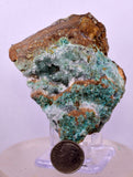 6.3cms DRUZY CHRYSOCOLLA QUARTZ CRYSTAL PERU COPPER LILY MINE DB234