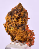 2.6cms GEM RED CROCOITE CRYSTALS CLUSTER MATRIX ADELAIDE MINE AUSTRALIA ZB52