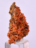 2.6cms GEM RED CROCOITE CRYSTALS CLUSTER MATRIX ADELAIDE MINE AUSTRALIA ZB52