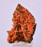 2.6cms GEM RED CROCOITE CRYSTALS CLUSTER MATRIX ADELAIDE MINE AUSTRALIA ZB52