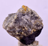 2.1cms NATIVE GOLD OF THE INCAS PERU THUMBNAIL CRYSTAL LB218