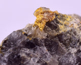 2.1cms NATIVE GOLD OF THE INCAS PERU THUMBNAIL CRYSTAL LB218