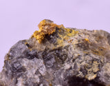 2.1cms NATIVE GOLD OF THE INCAS PERU THUMBNAIL CRYSTAL LB218