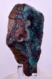 8.9cms DRUZY CHRYSOCOLLA QUARTZ CRYSTAL PERU COPPER LILY MINE DB241