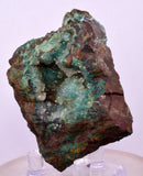5.4cms DRUZY CHRYSOCOLLA QUARTZ CRYSTAL PERU COPPER LILY MINE DB243