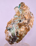 13.5cms DRUZY CHRYSOCOLLA ATACAMITE CRYSTAL PERU LILY MINE DB245