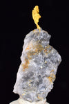 3.3cms NATIVE GOLD OF THE INCAS PERU QUARTZ THUMBNAIL CRYSTAL LB188