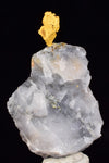 3.3cms NATIVE GOLD OF THE INCAS PERU QUARTZ THUMBNAIL CRYSTAL LB188