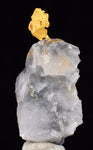 3.3cms NATIVE GOLD OF THE INCAS PERU QUARTZ THUMBNAIL CRYSTAL LB188