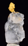 3.3cms NATIVE GOLD OF THE INCAS PERU QUARTZ THUMBNAIL CRYSTAL LB188