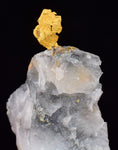 3.3cms NATIVE GOLD OF THE INCAS PERU QUARTZ THUMBNAIL CRYSTAL LB188