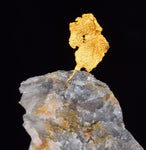 3.3cms NATIVE GOLD OF THE INCAS PERU QUARTZ THUMBNAIL CRYSTAL LB188