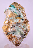 13.5cms DRUZY CHRYSOCOLLA ATACAMITE CRYSTAL PERU LILY MINE DB245