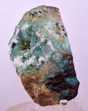 9.1cms DRUZY CHRYSOCOLLA QUARTZ CRYSTAL PERU COPPER LILY MINE DB246