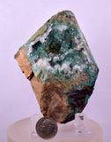 9.1cms DRUZY CHRYSOCOLLA QUARTZ CRYSTAL PERU COPPER LILY MINE DB246