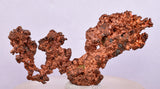 8.1cms NATIVE COPPER PERU CRYSTAL MINERAL COLLECTOR IB76