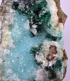 5.3cms DRUZY CHRYSOCOLLA QUARTZ CRYSTAL PERU COPPER LILY MINE DB251