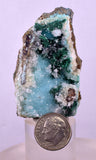 5.3cms DRUZY CHRYSOCOLLA QUARTZ CRYSTAL PERU COPPER LILY MINE DB251
