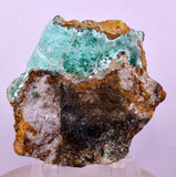 6.6cms ATACAMITE DRUZY CHRYSOCOLLA CHRYSTAL LILY MINE PERU MINERAL AB310