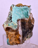 6.6cms ATACAMITE DRUZY CHRYSOCOLLA CHRYSTAL LILY MINE PERU MINERAL AB310