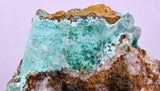 6.6cms ATACAMITE DRUZY CHRYSOCOLLA CHRYSTAL LILY MINE PERU MINERAL AB310