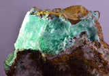 6.6cms ATACAMITE DRUZY CHRYSOCOLLA CHRYSTAL LILY MINE PERU MINERAL AB310