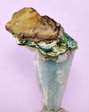 7.1cms DRUZY CHRYSOCOLLA QUARTZ CHRYSTAL LILY MINE PERU MINERAL DB252