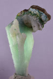 7.1cms DRUZY CHRYSOCOLLA QUARTZ CHRYSTAL LILY MINE PERU MINERAL DB252