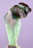 7.1cms DRUZY CHRYSOCOLLA QUARTZ CHRYSTAL LILY MINE PERU MINERAL DB252