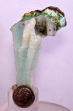 7.1cms DRUZY CHRYSOCOLLA QUARTZ CHRYSTAL LILY MINE PERU MINERAL DB252