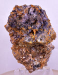 6.3cms GEM WULFENITE FLUORITE MIMETITE CRYSTALS ALAMO ARIZONA USA MINERAL YB63