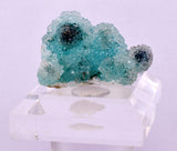 3.2cms DRUZY CHRYSOCOLLA QUARTZ CRYSTAL LILY MINE PERU 2000 YEAR DB259