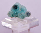 3.2cms DRUZY CHRYSOCOLLA QUARTZ CRYSTAL LILY MINE PERU 2000 YEAR DB259
