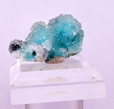3.2cms DRUZY CHRYSOCOLLA QUARTZ CRYSTAL LILY MINE PERU 2000 YEAR DB259
