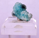 3.2cms DRUZY CHRYSOCOLLA QUARTZ CRYSTAL LILY MINE PERU 2000 YEAR DB259