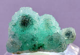 3.2cms DRUZY CHRYSOCOLLA QUARTZ CRYSTAL LILY MINE PERU 2000 YEAR DB259