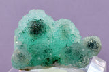 3.2cms DRUZY CHRYSOCOLLA QUARTZ CRYSTAL LILY MINE PERU 2000 YEAR DB259