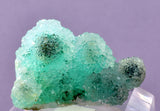 3.2cms DRUZY CHRYSOCOLLA QUARTZ CRYSTAL LILY MINE PERU 2000 YEAR DB259