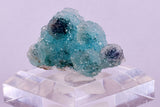 3.2cms DRUZY CHRYSOCOLLA QUARTZ CRYSTAL LILY MINE PERU 2000 YEAR DB259