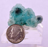 3.2cms DRUZY CHRYSOCOLLA QUARTZ CRYSTAL LILY MINE PERU 2000 YEAR DB259